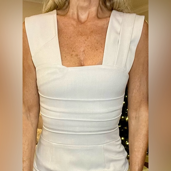 Black Halo by Laurel Berman - Sheath Dress - Pale Grey - Size 4 - Picture 2 of 6